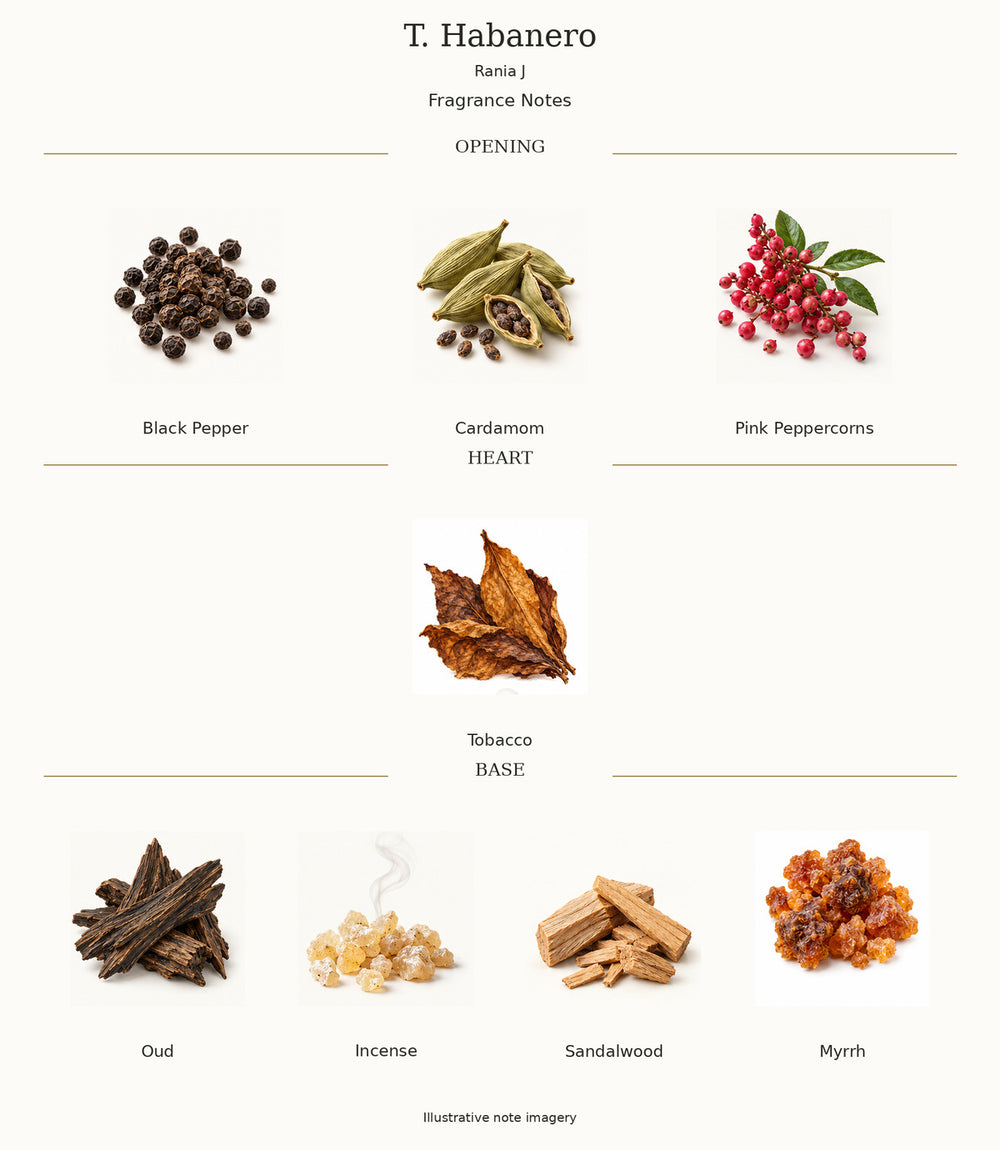 T. Habanero by Rania J — complete illustrated opening, heart and base fragrance notes