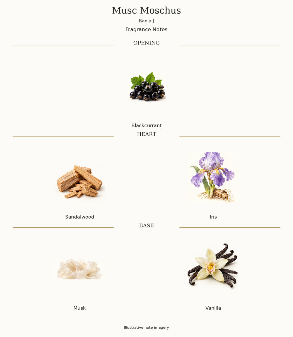 Musc Moschus by Rania J — complete illustrated opening, heart and base fragrance notes
