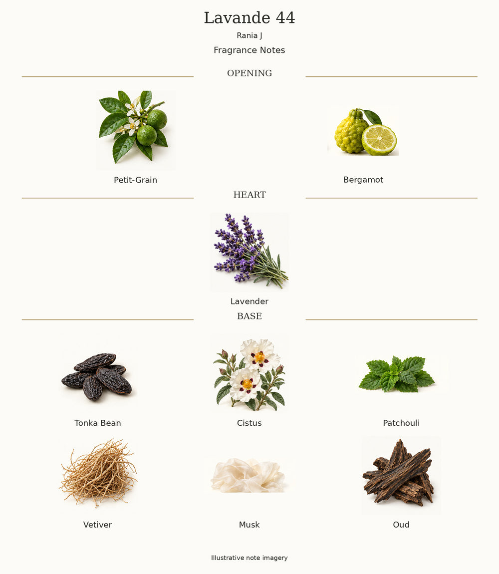Lavande 44 by Rania J — complete illustrated opening, heart and base fragrance notes