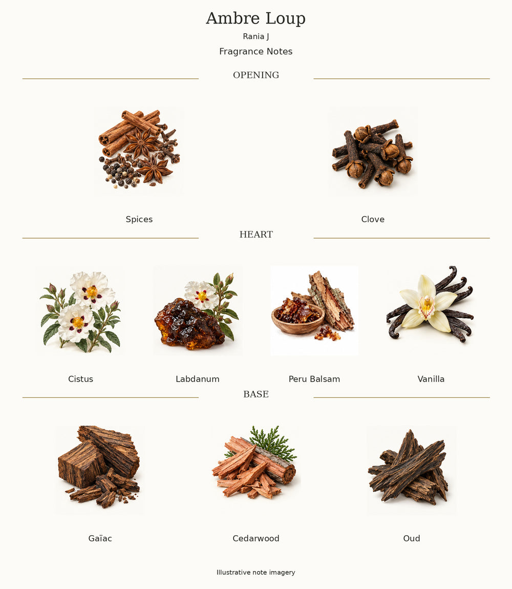 Ambre Loup by Rania J — complete illustrated opening, heart and base fragrance notes