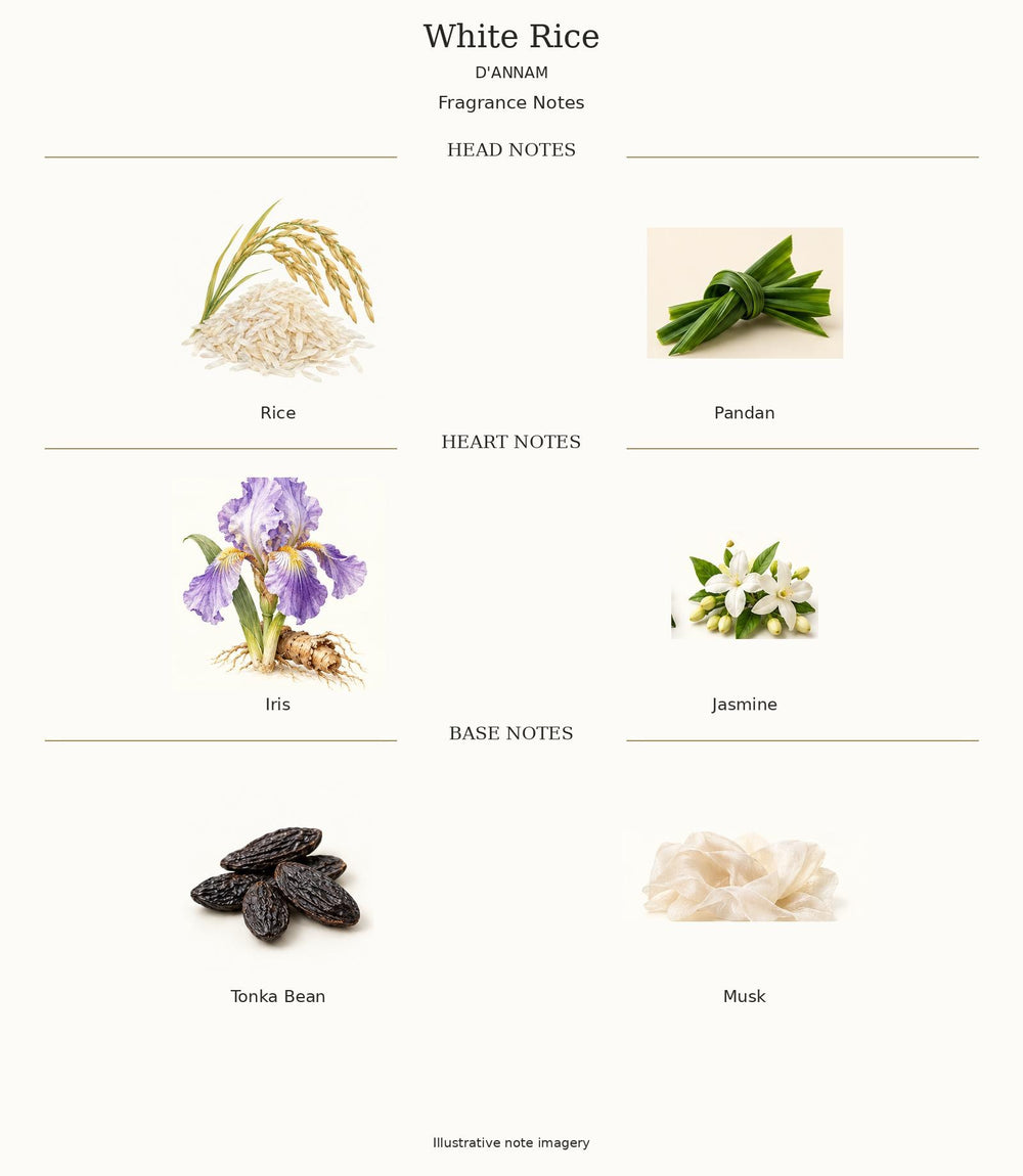 WHITE RICE by D'ANNAM — complete fragrance notes