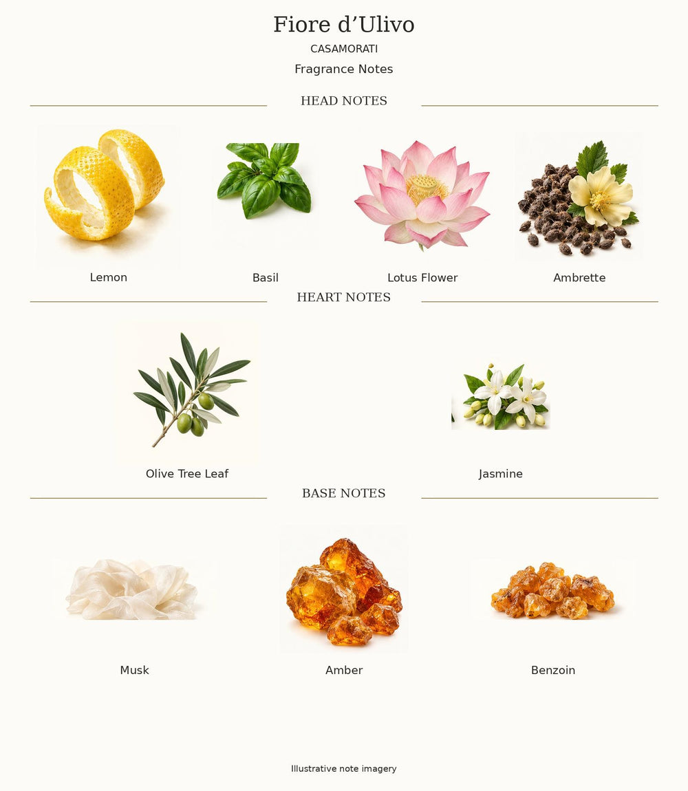 FIORE D'ULIVO by CASAMORATI — complete fragrance notes