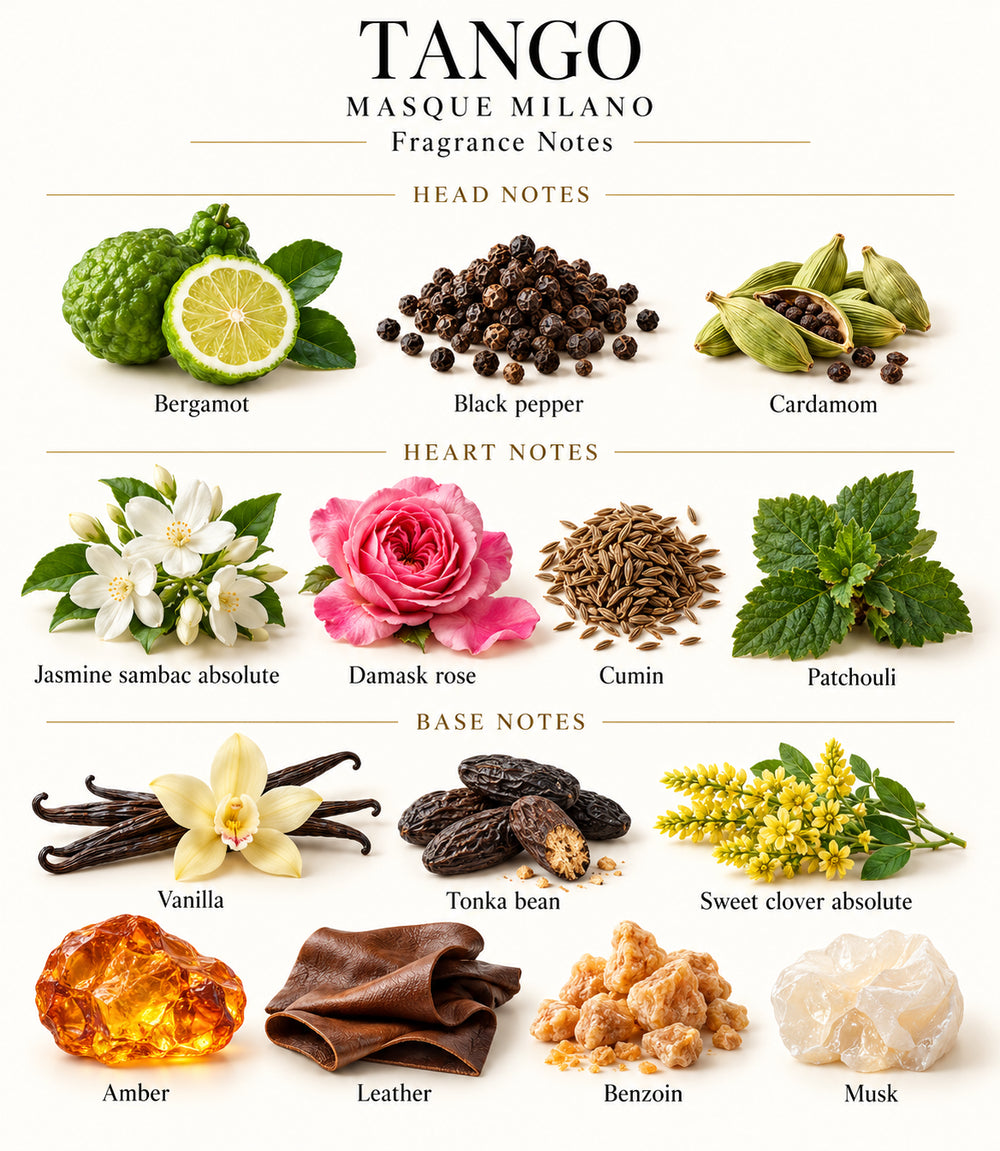 Complete illustrated fragrance notes for TANGO by MASQUE MILANO: HEAD NOTES: Bergamot, Black pepper, Cardamom; HEART NOTES: Jasmine sambac absolute, Damask rose, Cumin, Patchouli; BASE NOTES: Vanilla, Tonka bean, Sweet clover absolute, Amber, Leather, Benzoin, Musk
