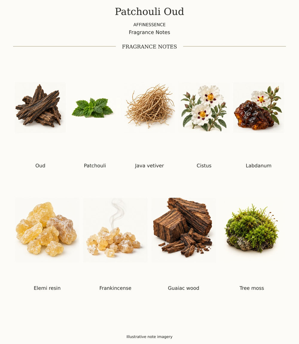 PATCHOULI OUD by AFFINESSENCE — complete fragrance notes illustration