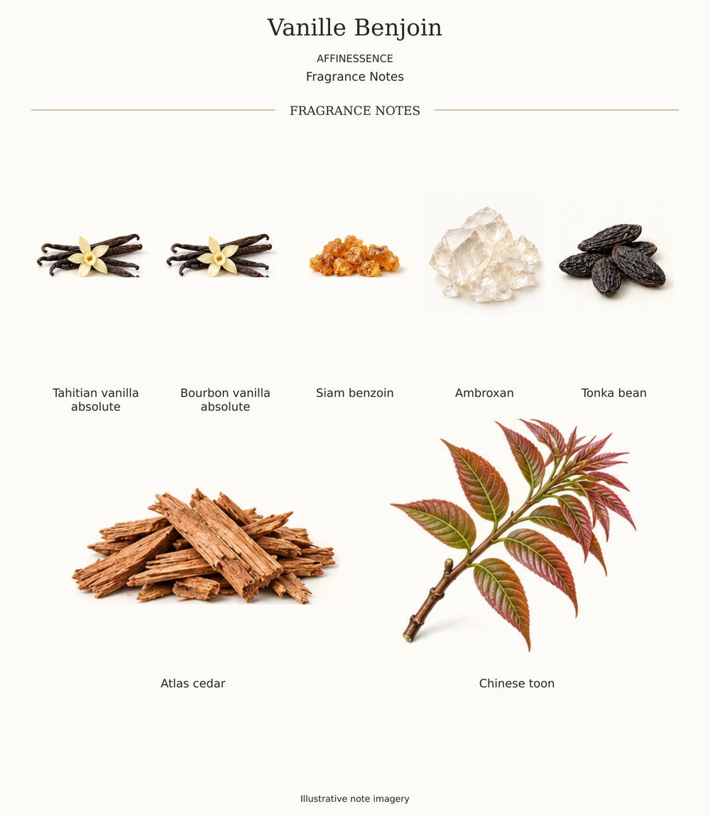 VANILLE BENJOIN by AFFINESSENCE — complete fragrance notes illustration