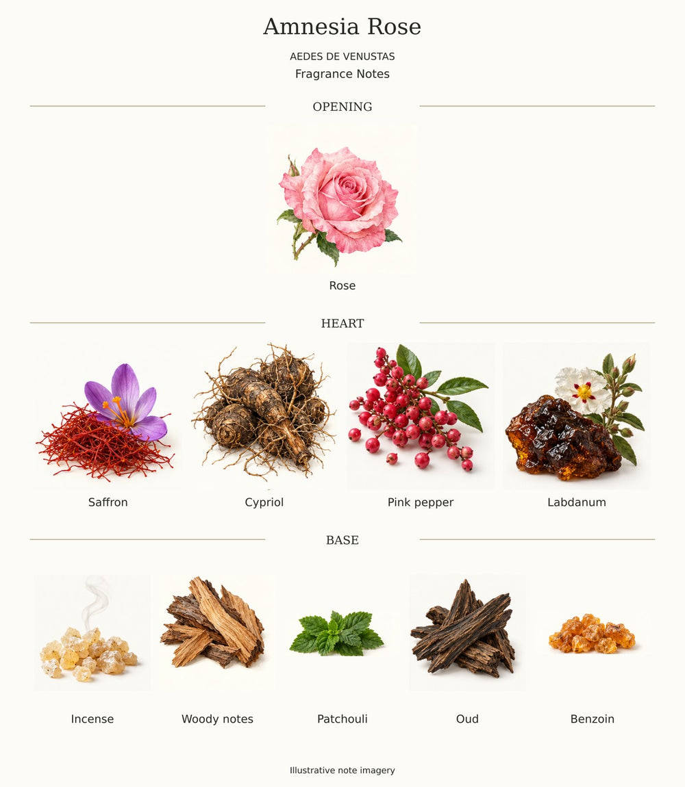 AMNESIA ROSE by AEDES DE VENUSTAS — complete fragrance notes illustration