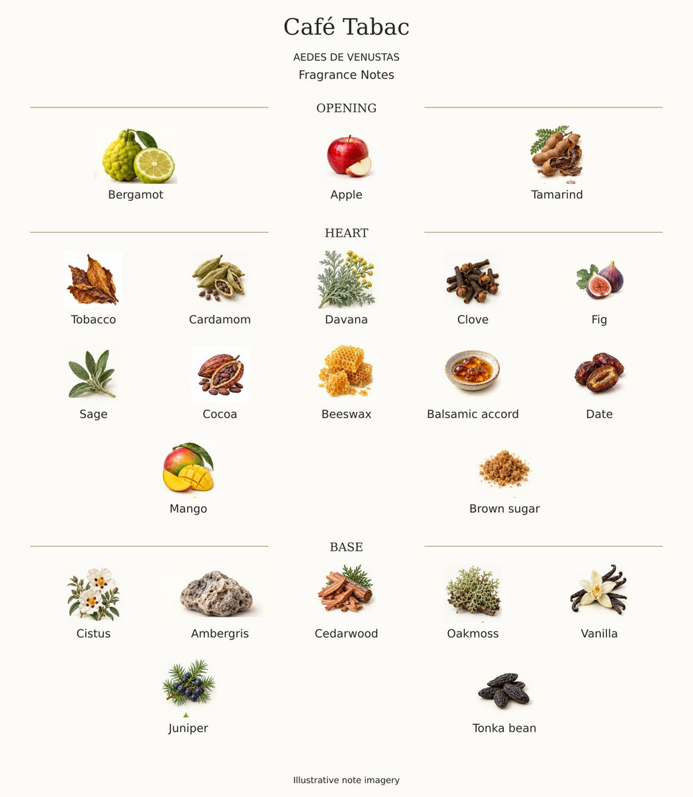 CAFE TABAC by AEDES DE VENUSTAS — complete fragrance notes illustration