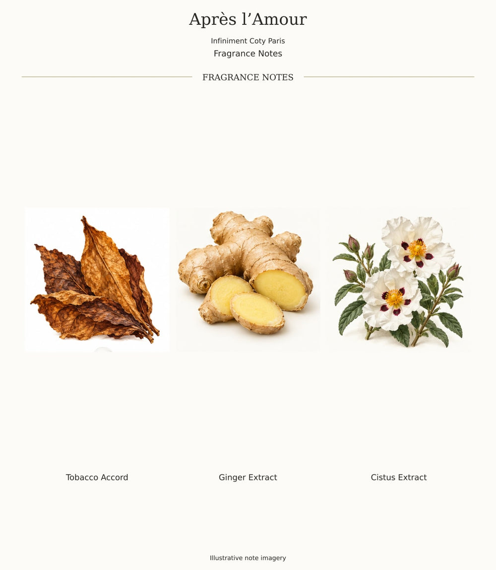 Après l’Amour by Infiniment Coty Paris — complete verified fragrance notes