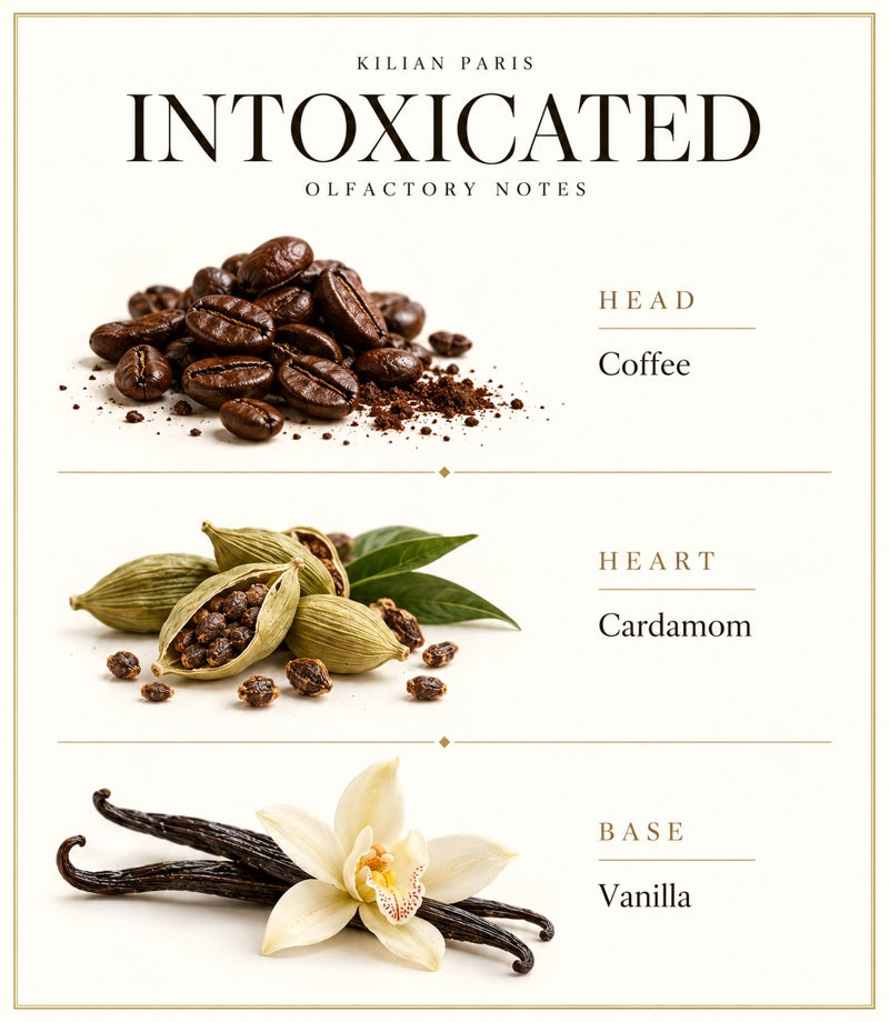 Kilian Intoxicated — complete illustrated olfactory notes