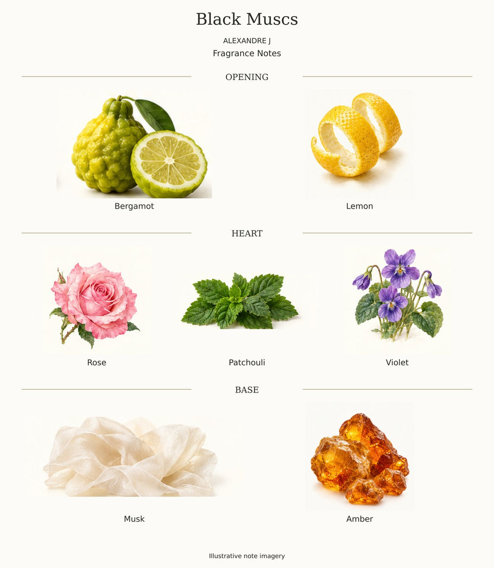 BLACK MUSCS by ALEXANDRE J — complete fragrance notes illustration