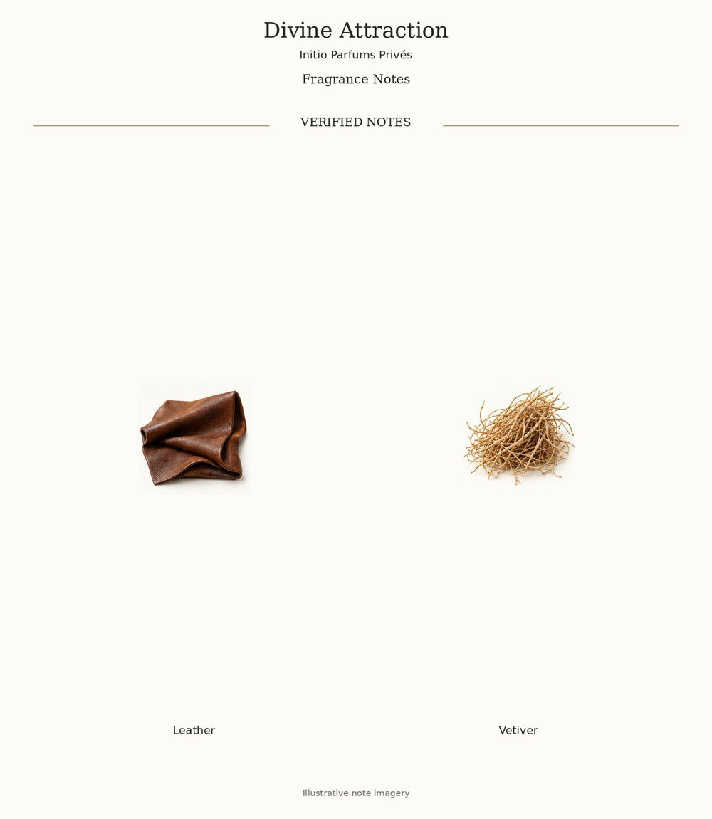 Divine Attraction — complete verified fragrance notes with illustrative material imagery