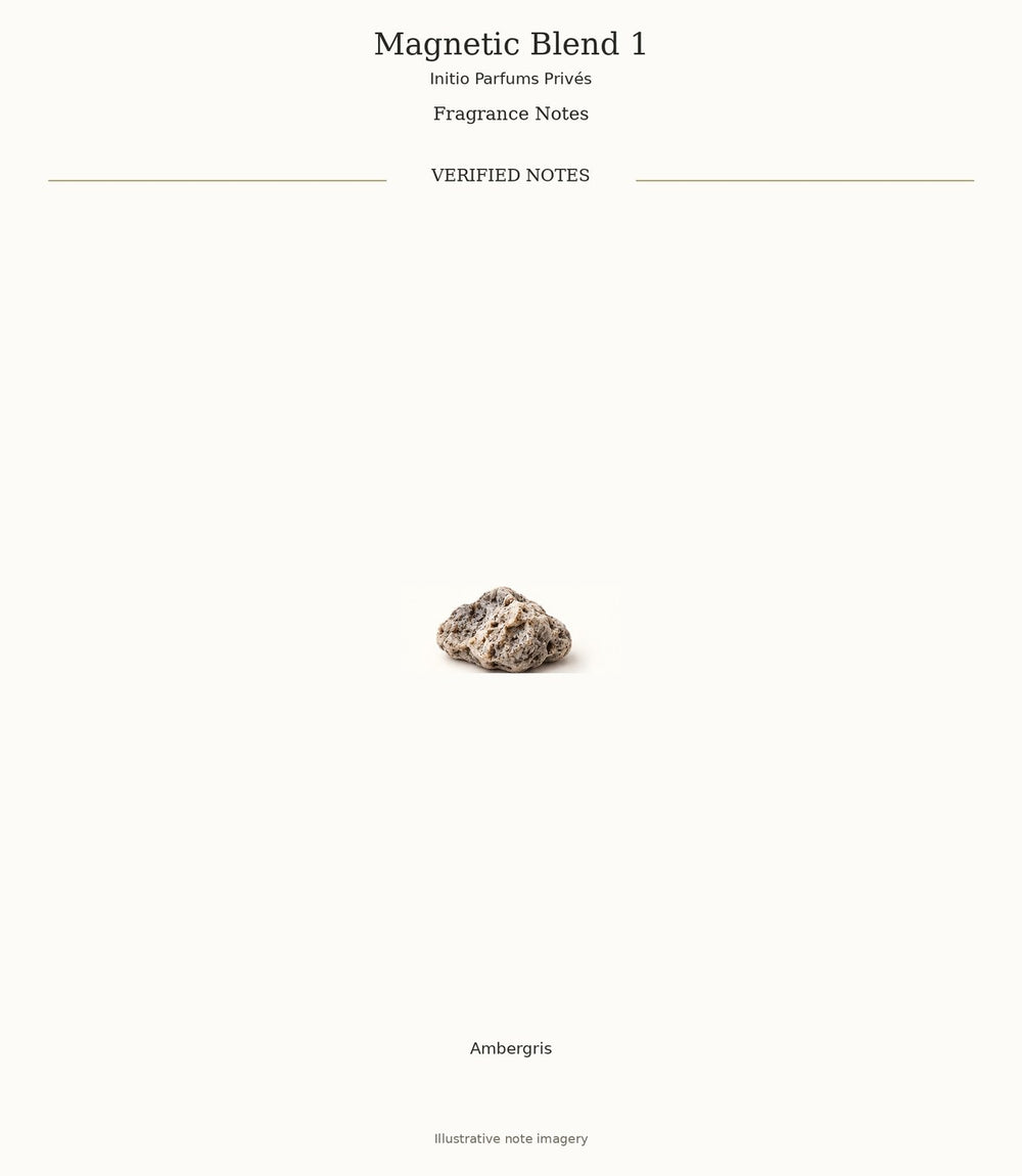 Magnetic Blend 1 — complete verified fragrance notes with illustrative material imagery