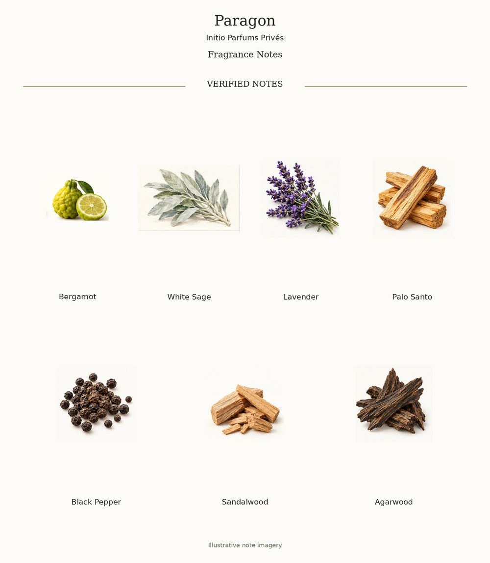 Paragon — complete verified fragrance notes with illustrative material imagery