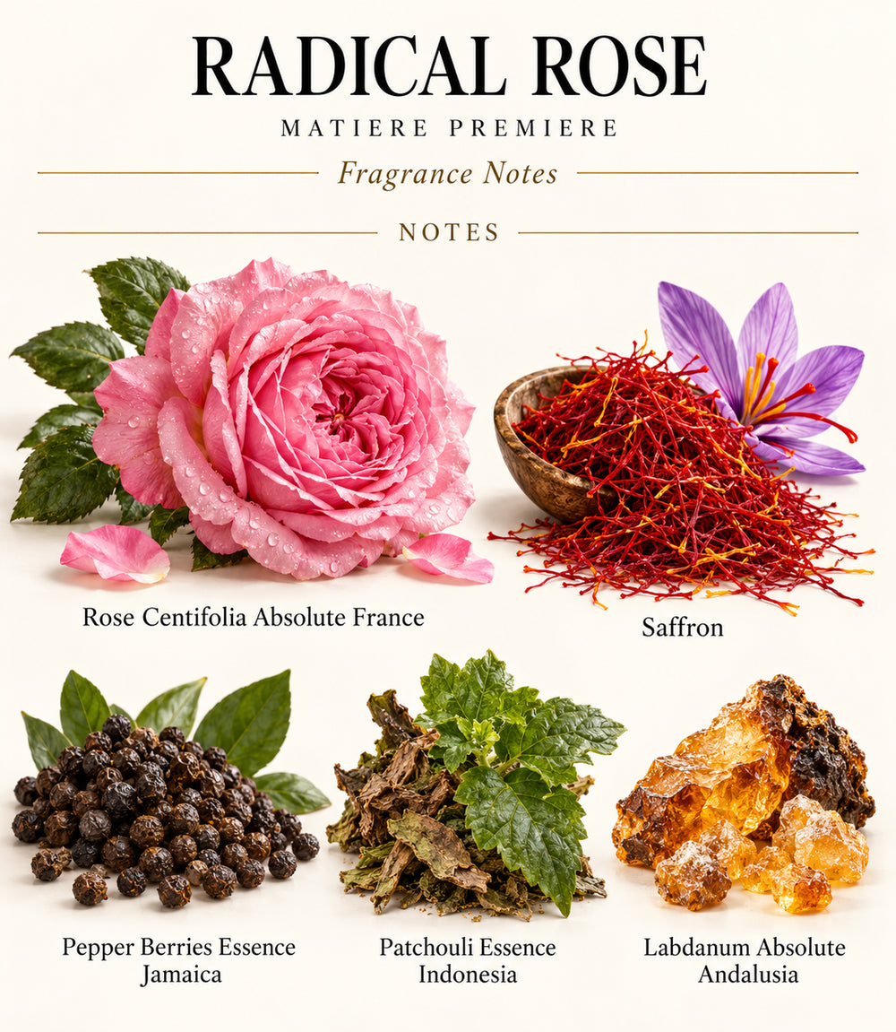 Complete illustrated fragrance notes for RADICAL ROSE by MATIERE PREMIERE: NOTES: Rose Centifolia Absolute France, Saffron, Pepper Berries Essence Jamaica, Patchouli Essence Indonesia, Labdanum Absolute Andalusia