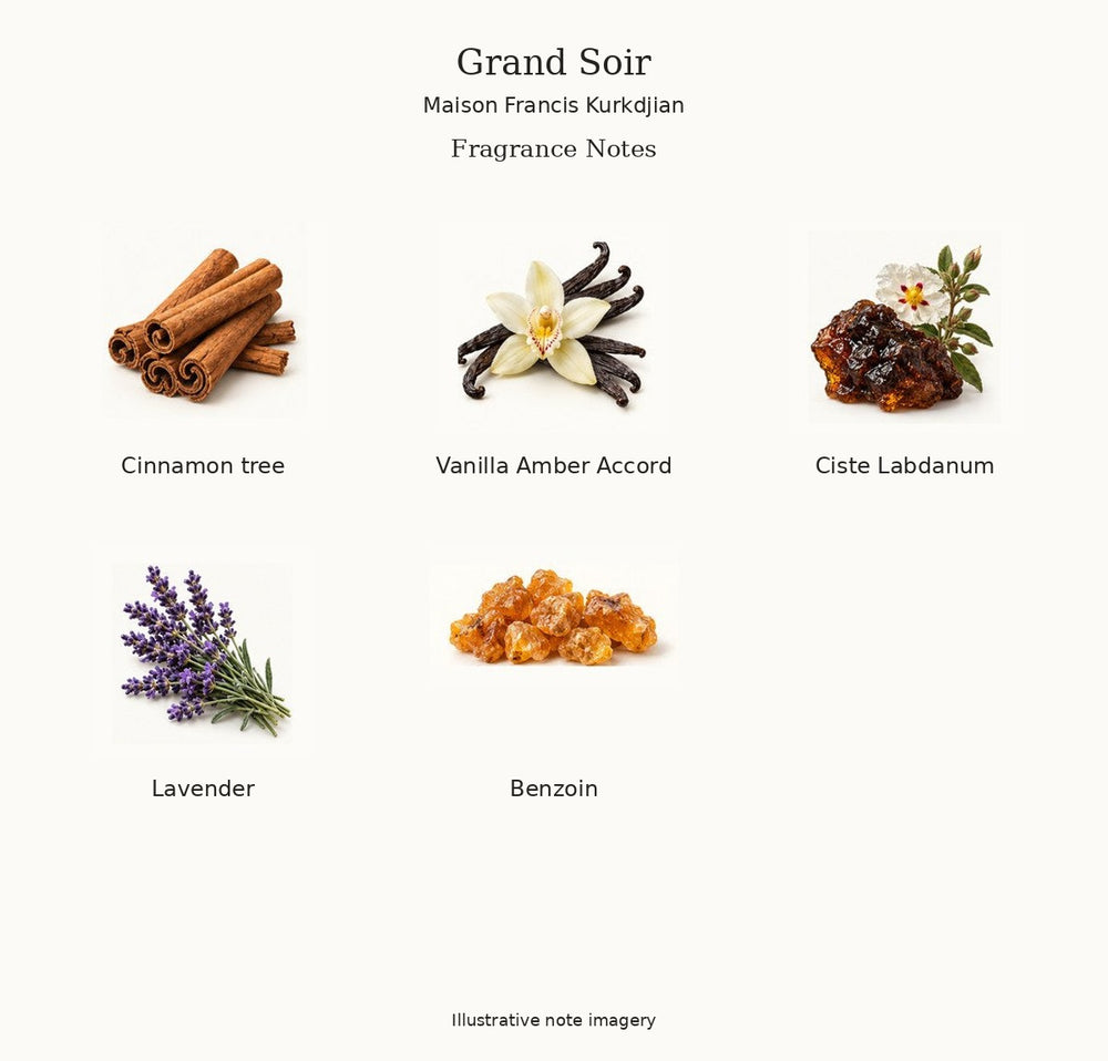 Illustrated fragrance notes for Grand Soir by Maison Francis Kurkdjian