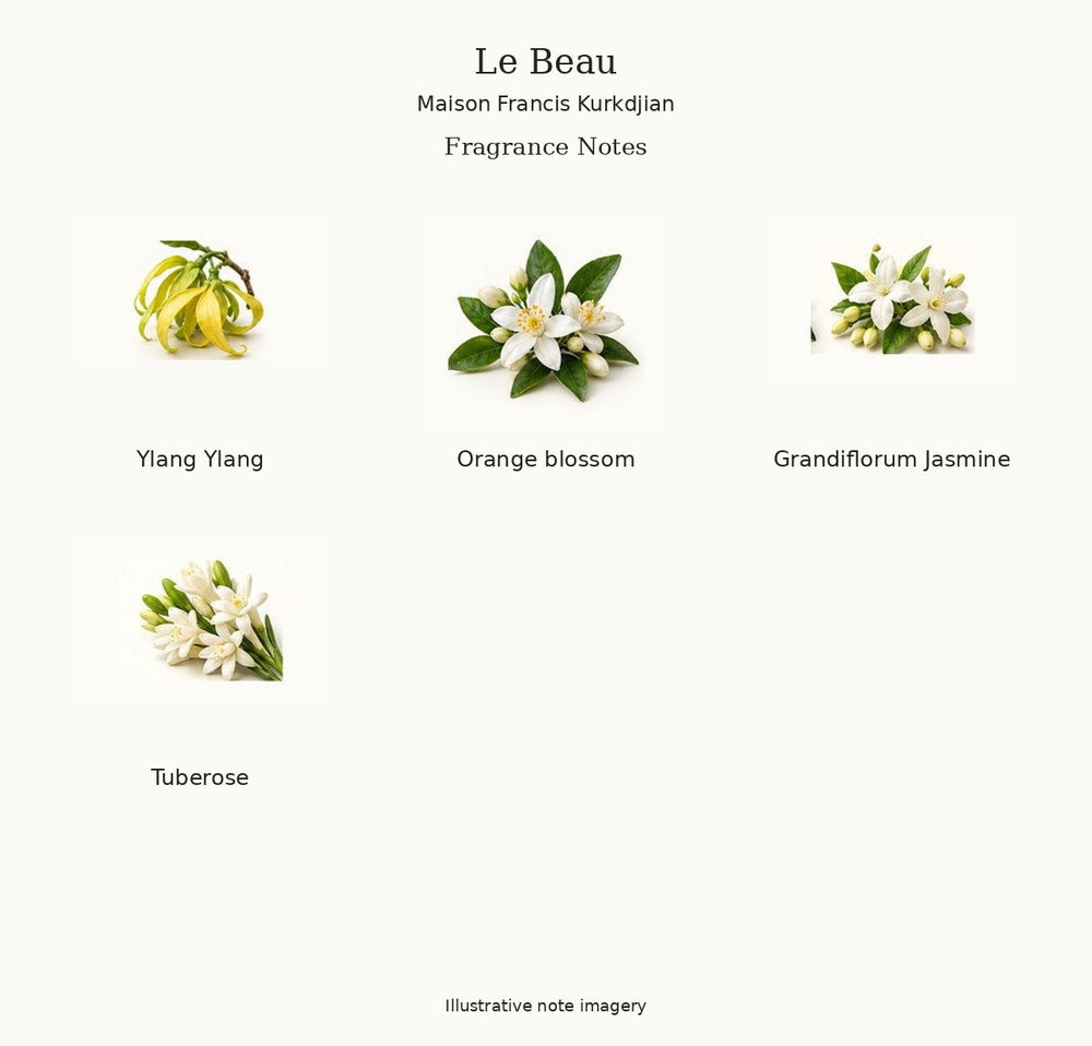 Illustrated fragrance notes for Le Beau by Maison Francis Kurkdjian