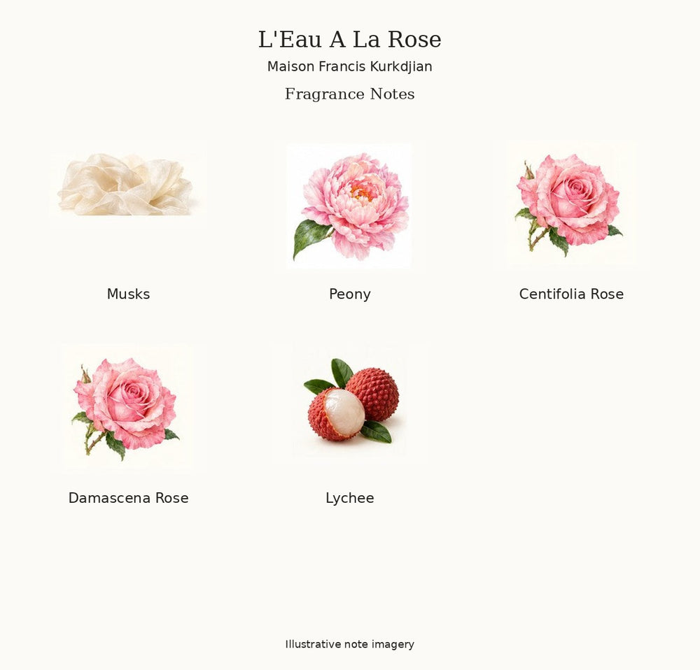 Illustrated fragrance notes for L'Eau A La Rose by Maison Francis Kurkdjian