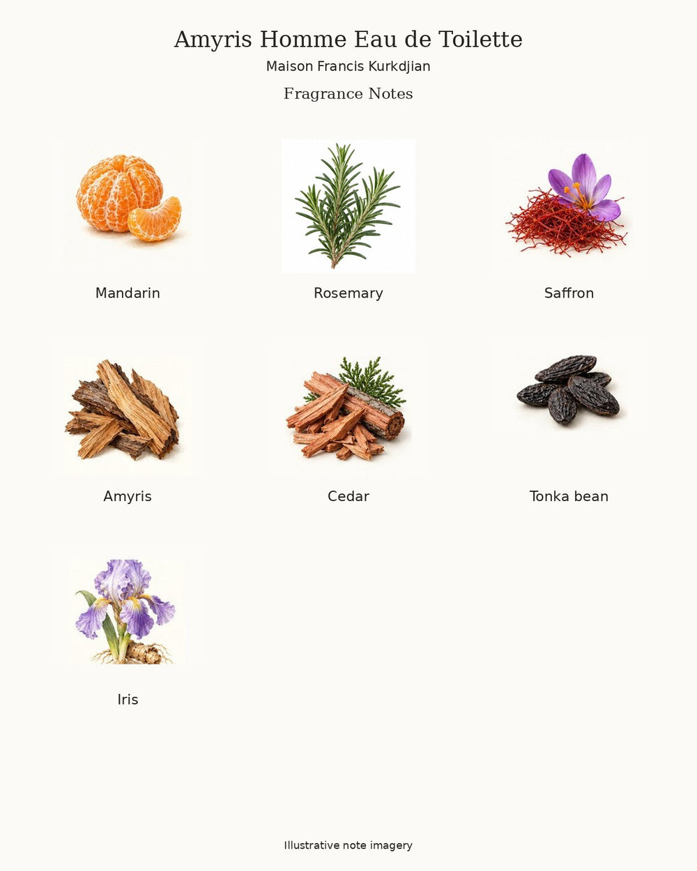 Illustrated fragrance notes for Amyris Homme Eau de Toilette by Maison Francis Kurkdjian