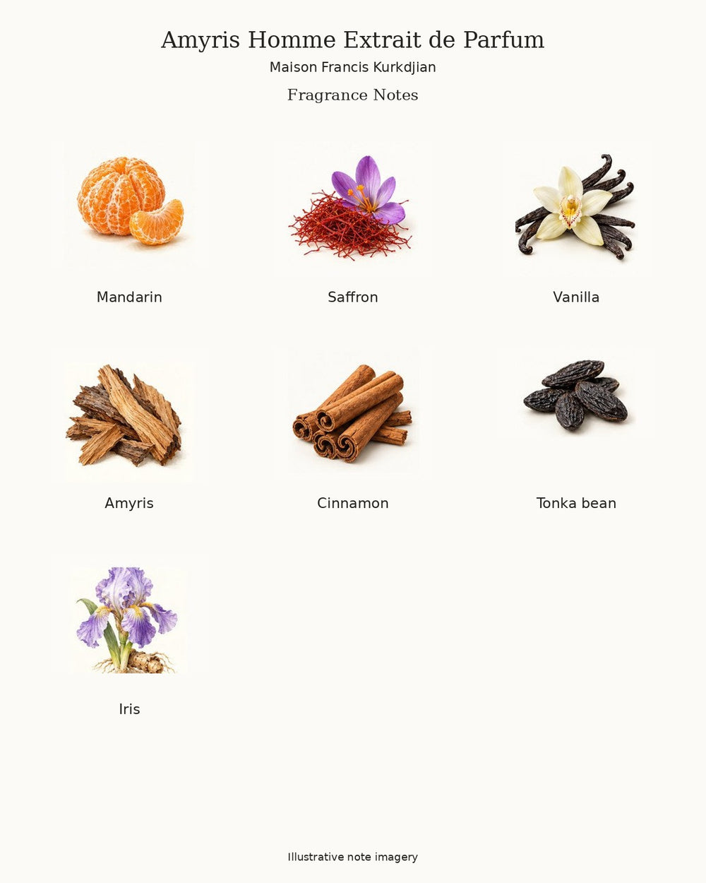Illustrated fragrance notes for Amyris Homme Extrait de Parfum by Maison Francis Kurkdjian