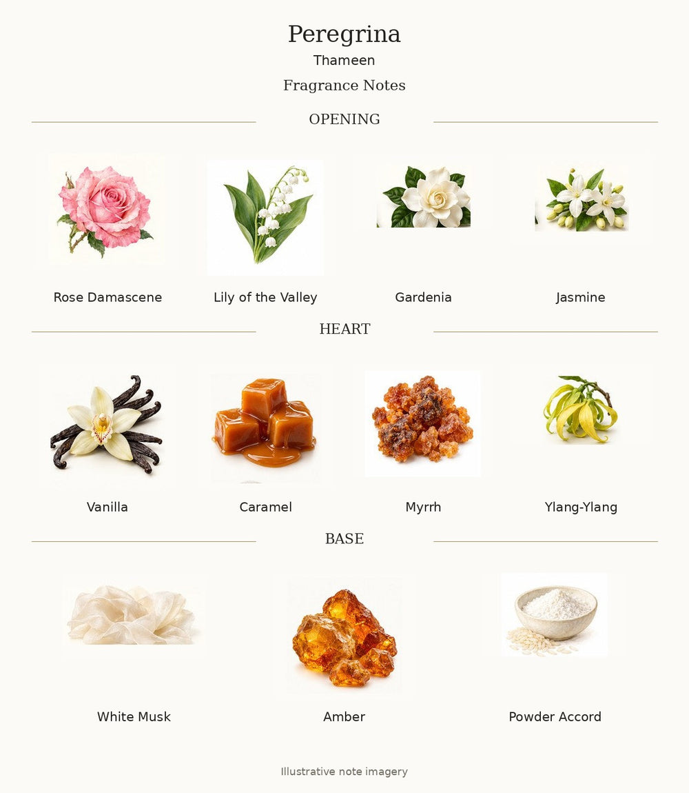 Peregrina by Thameen — complete verified fragrance notes with illustrative material imagery