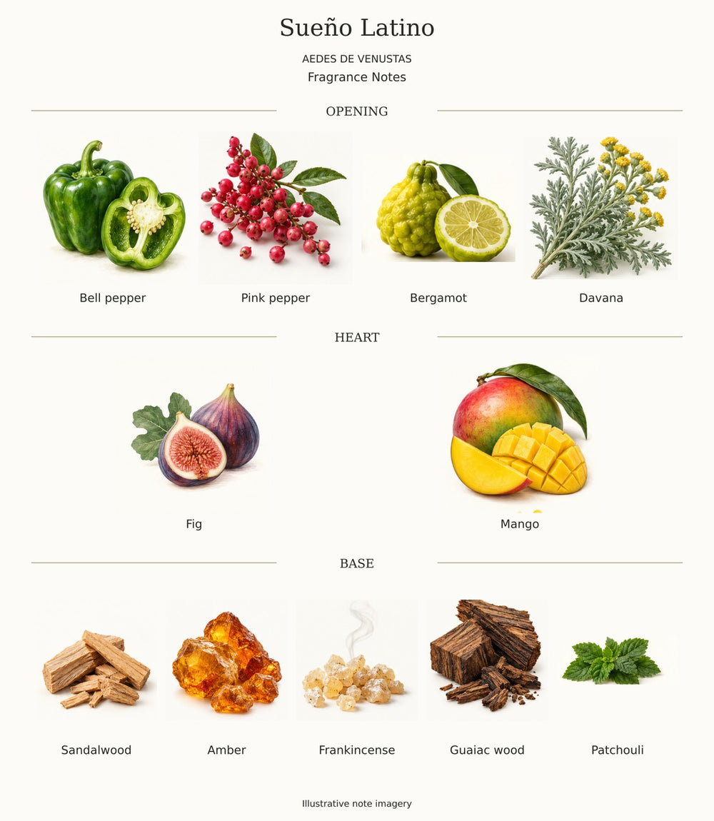SUENO LATINO by AEDES DE VENUSTAS — complete fragrance notes illustration