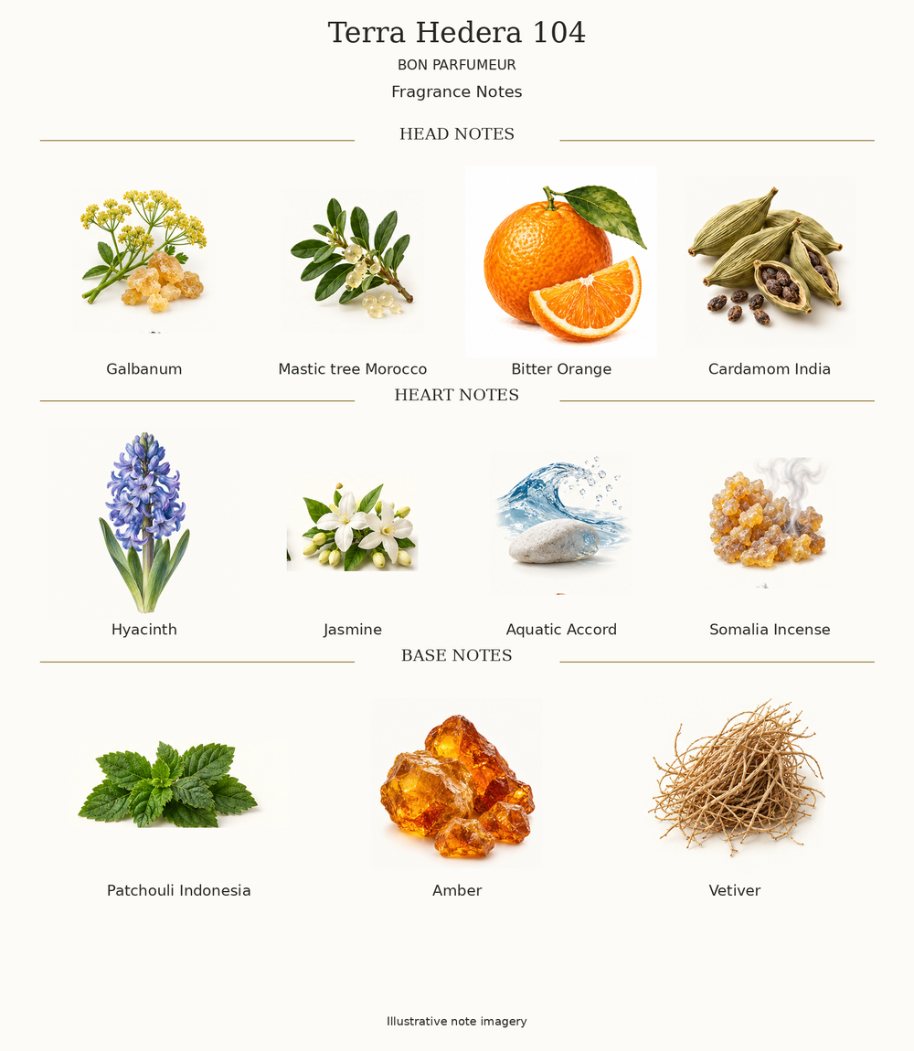 Terra Hedera 104: complete opening, heart and base fragrance notes