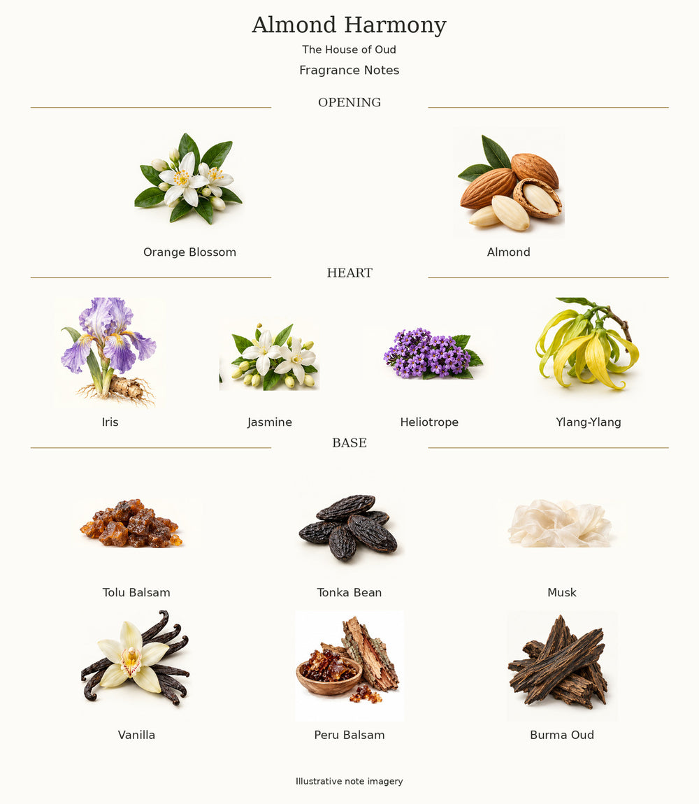 Almond Harmony by The House of Oud — illustrated fragrance notes: opening, heart and base.