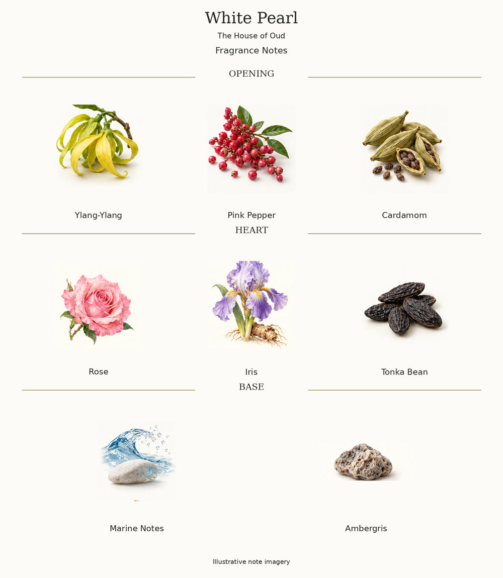White Pearl by The House of Oud — illustrated fragrance notes: opening, heart and base.