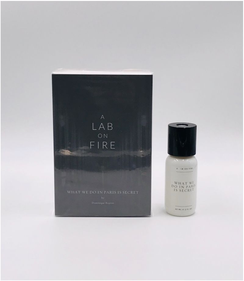 A LAB ON FIRE WHAT WE DO IN PARIS IS SECRET – Rich and Luxe